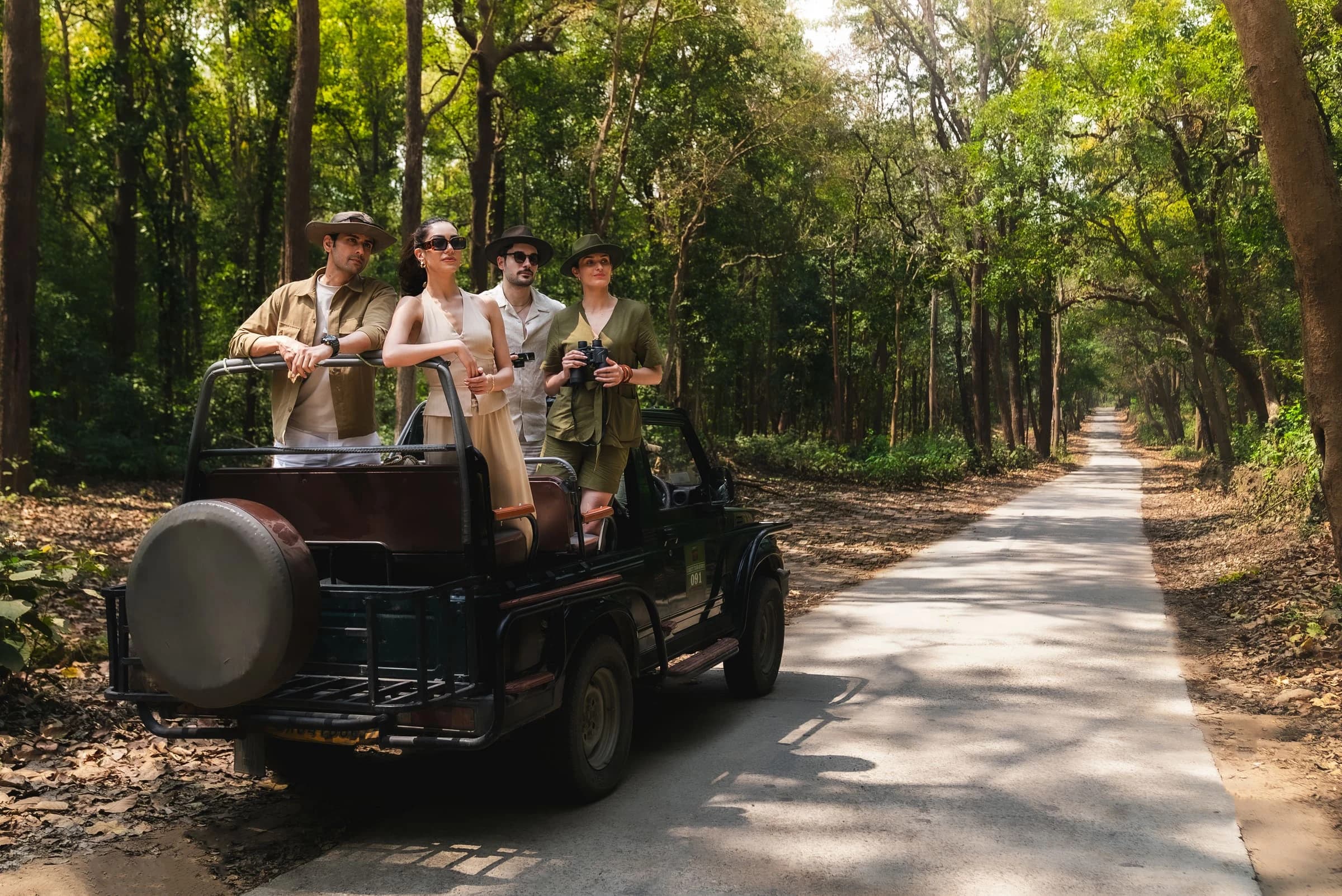 Safari