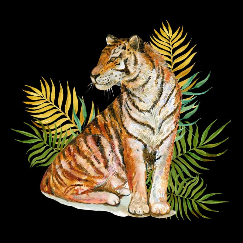 Tiger Illustration
